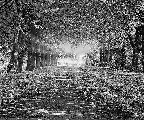 Наши услуги