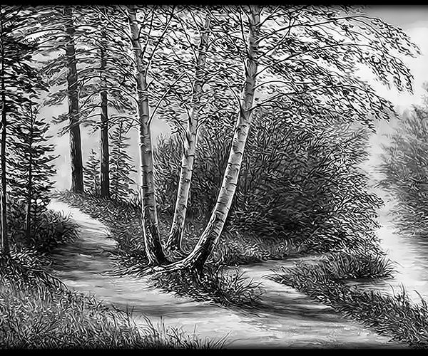 Наши услуги